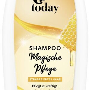 Today šampoon mesi, 250ml pudel